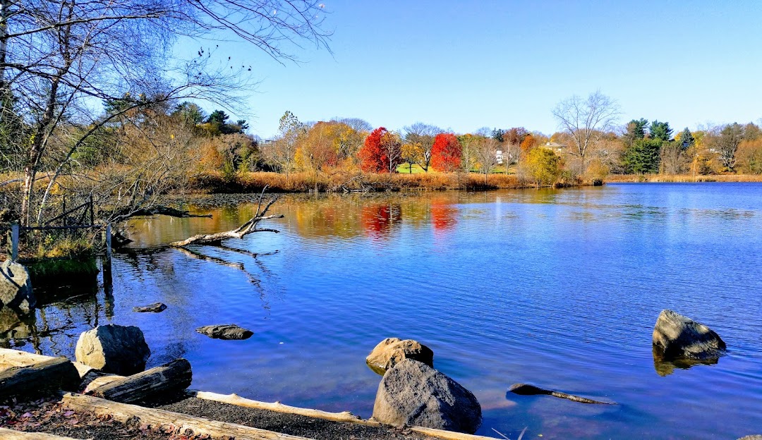Fresh Pond Reservation